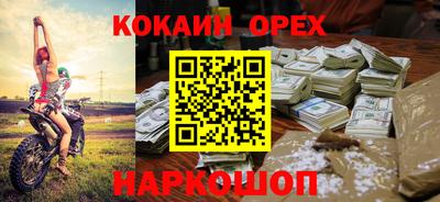 крисы Новозыбков