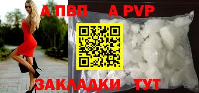 крисы Новозыбков