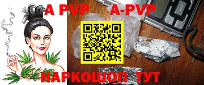 крисы Новозыбков