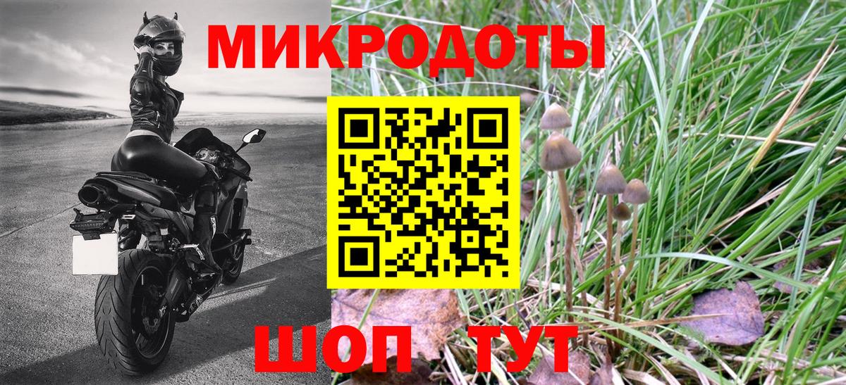 Псилоцибиновые грибы Cubensis Тара