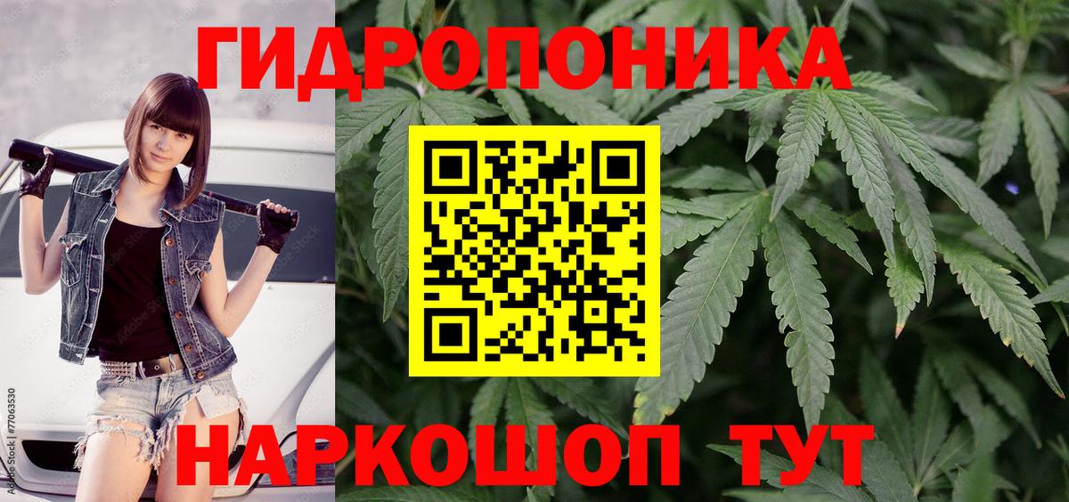 Тара  Бошки марихуана марихуана  Вход с VPN  Конопля гибрид  Каннабис планчик  Канабис индика 
